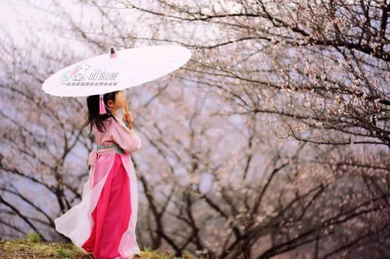 成(cheng)都周邊團(tuán)建(jian)|大(da)邑霧山(shān)徒步賞花(huā)一(yi)日(ri)遊